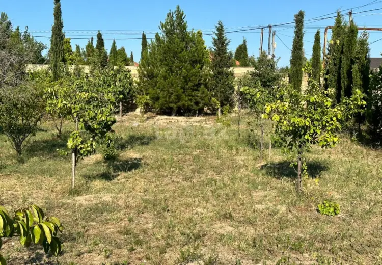 0 m² Obyekt / Ofis , Bakı
