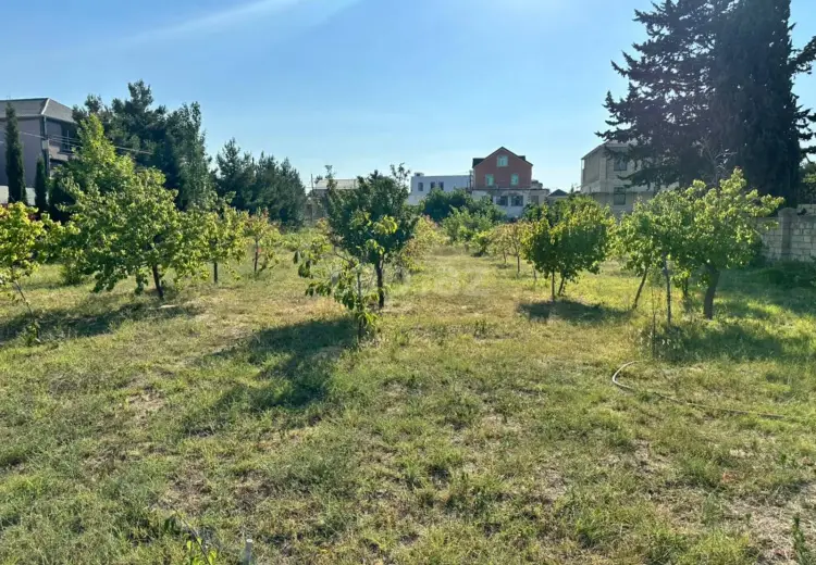 0 m² Obyekt / Ofis , Bakı