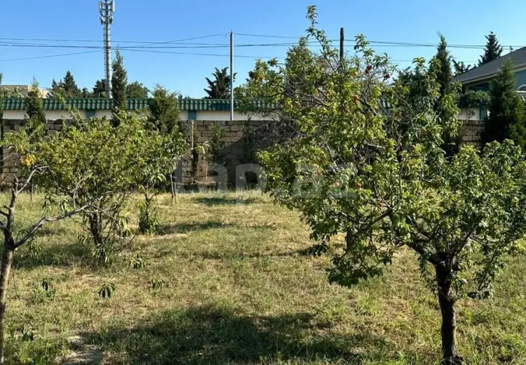 0 m² Obyekt / Ofis , Bakı