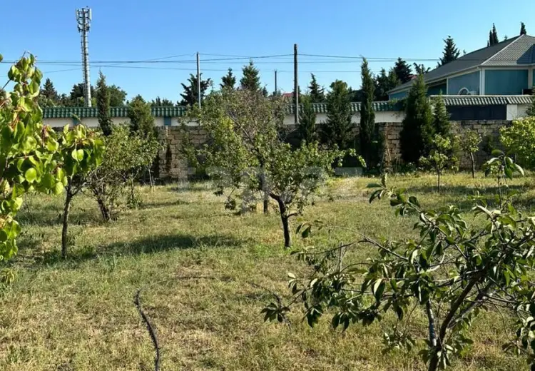 0 m² Obyekt / Ofis , Bakı
