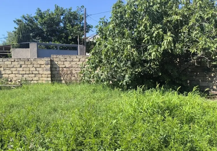1.6 sot Torpaq Satılır, Novxanı, Abşeron
