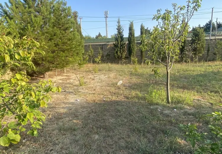 2.5 sot Torpaq Satılır, Goradil, Abşeron