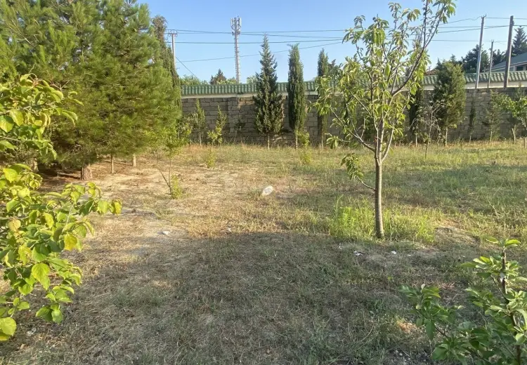 2.5 sot Torpaq Satılır, Goradil, Abşeron