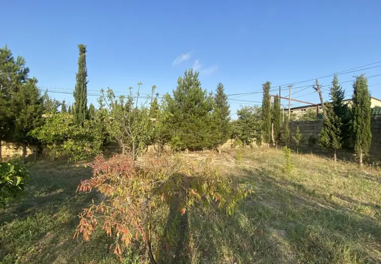2.5 sot Torpaq Satılır, Goradil, Abşeron