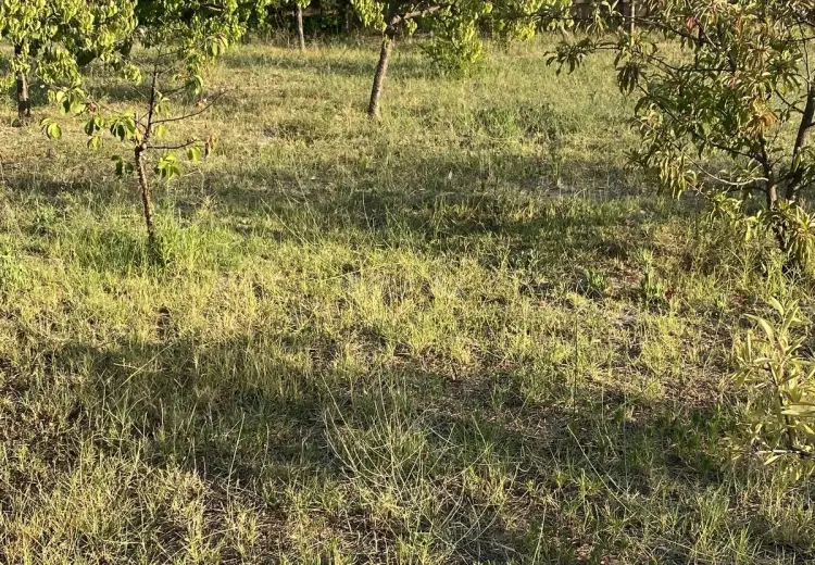 3 sot Torpaq Satılır, Goradil, Abşeron