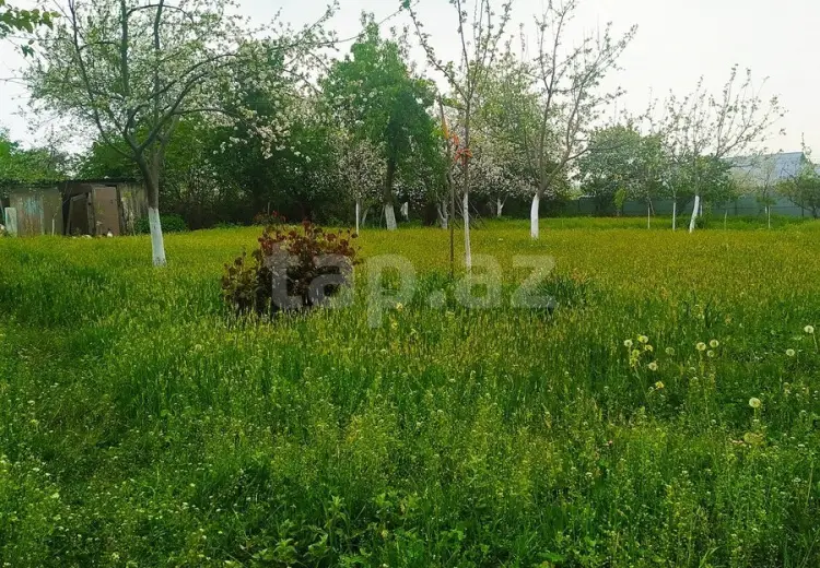0 m² Obyekt / Ofis , İsmayıllı