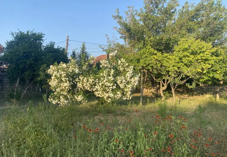 5 sot Torpaq Satılır, Goradil, Abşeron