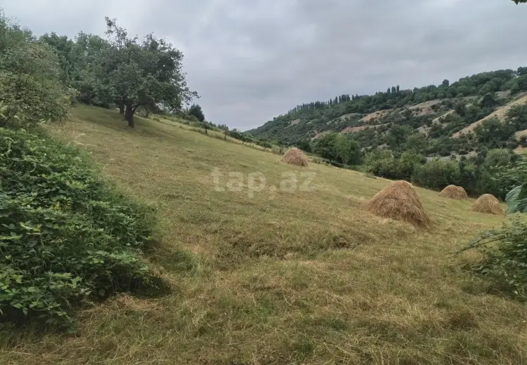 0 m² Obyekt / Ofis , Qusar