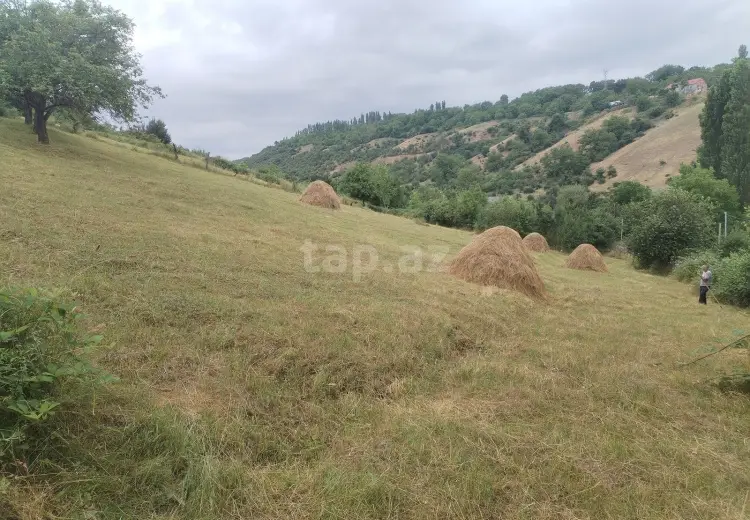 0 m² Obyekt / Ofis , Qusar