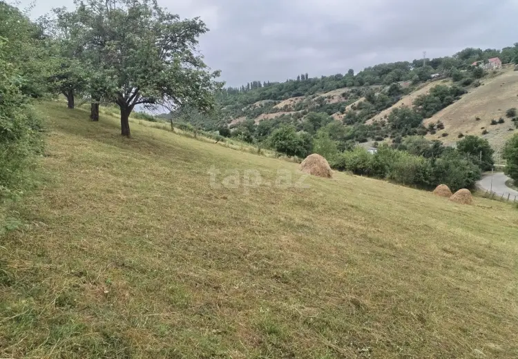 0 m² Obyekt / Ofis , Qusar