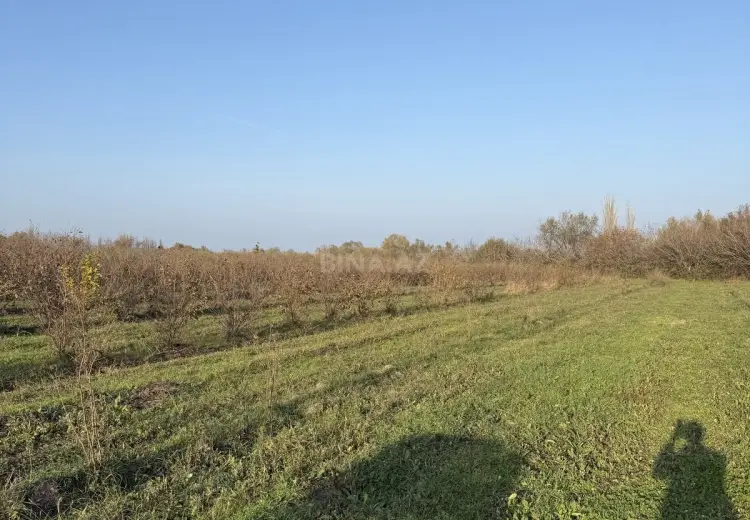 500 sot Torpaq Satılır, Şabran