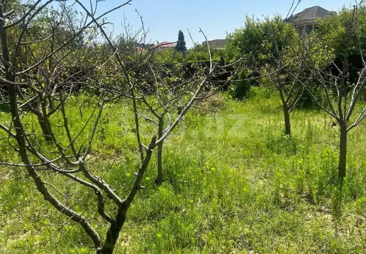 0 m² Obyekt / Ofis , Novxanı, Abşeron