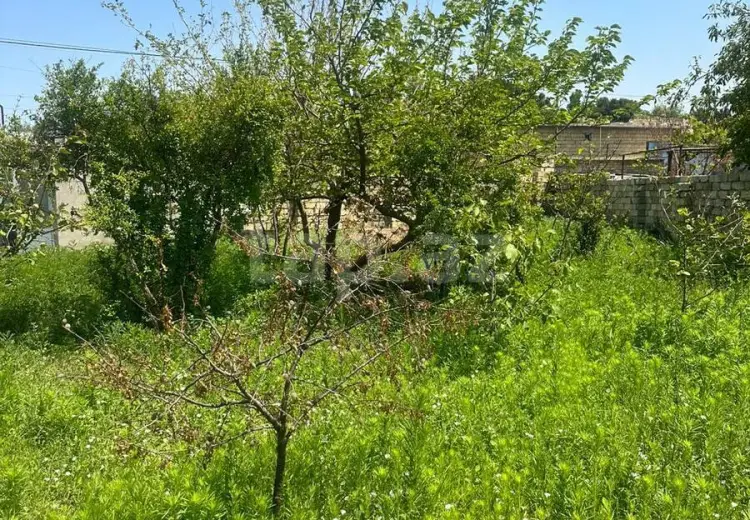 0 m² Obyekt / Ofis , Novxanı, Abşeron