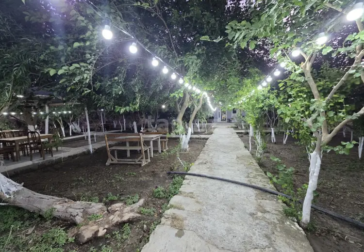 0 m² Obyekt / Ofis , Bakı