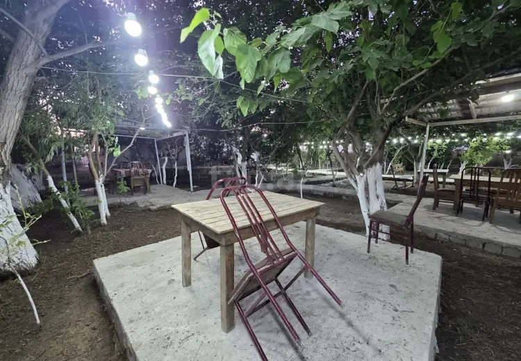 0 m² Obyekt / Ofis , Bakı