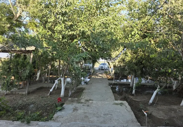 0 m² Obyekt / Ofis , Bakı