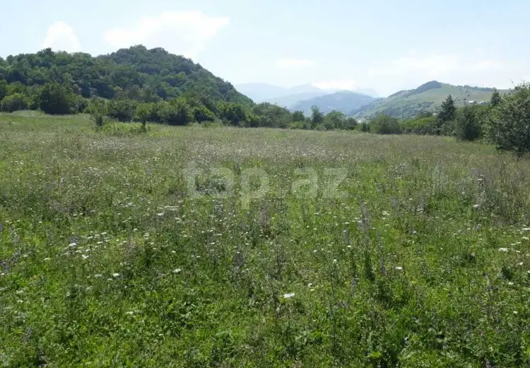 0 m² Obyekt / Ofis , Quba