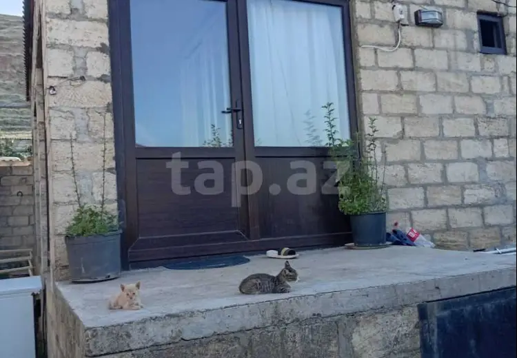 3 otaqlı mənzil , Siyəzən