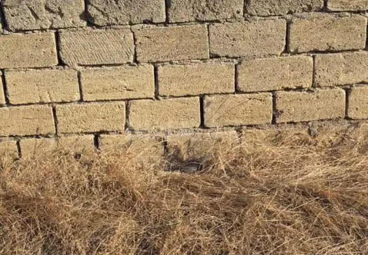 4 sot Torpaq Satılır, Atyalı, Abşeron