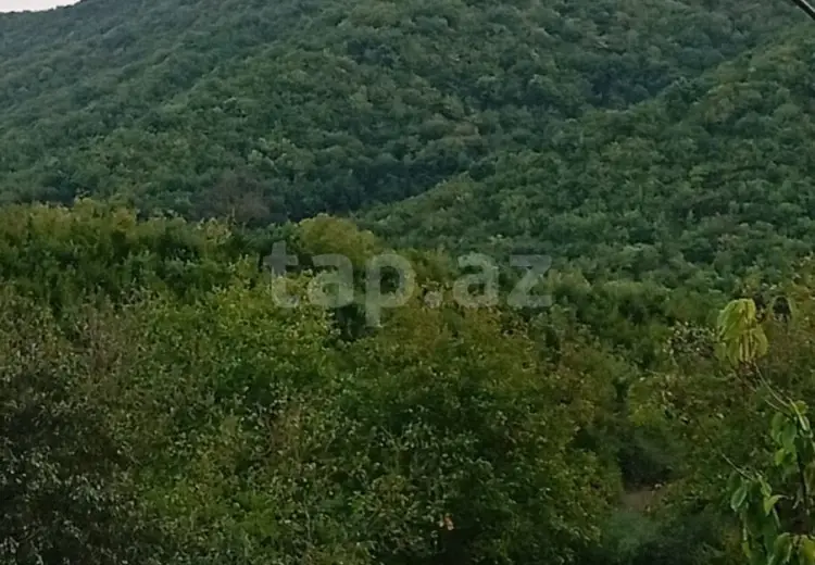 0 m² Obyekt / Ofis , Qəbələ