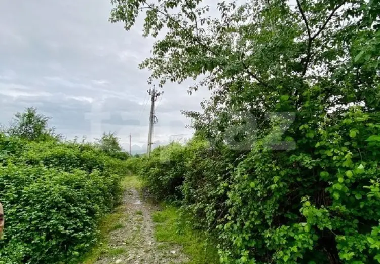 0 m² Obyekt / Ofis , İsmayıllı