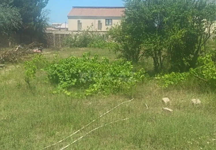 4 sot Torpaq Satılır, Novxanı, Abşeron