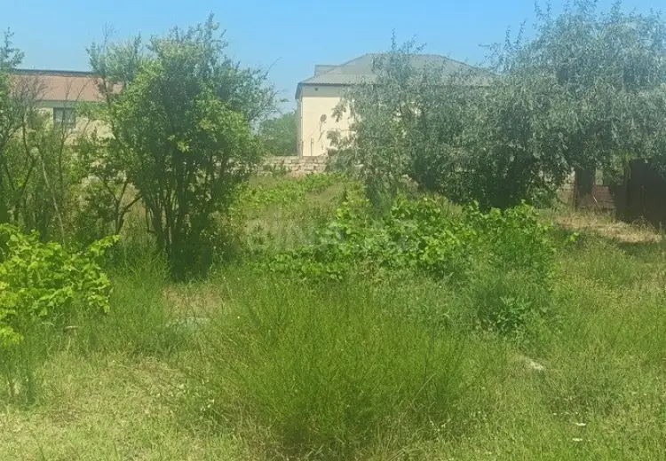 4 sot Torpaq Satılır, Novxanı, Abşeron