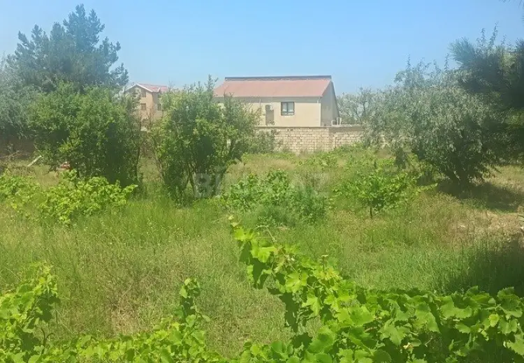 4 sot Torpaq Satılır, Novxanı, Abşeron