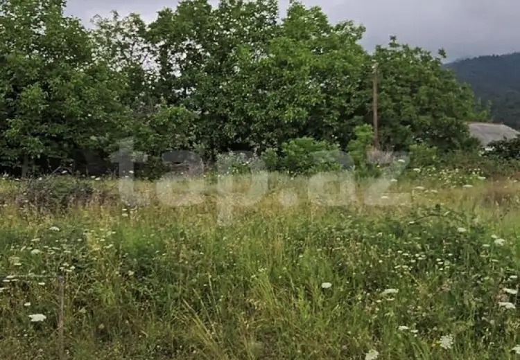 0 m² Obyekt / Ofis , İsmayıllı