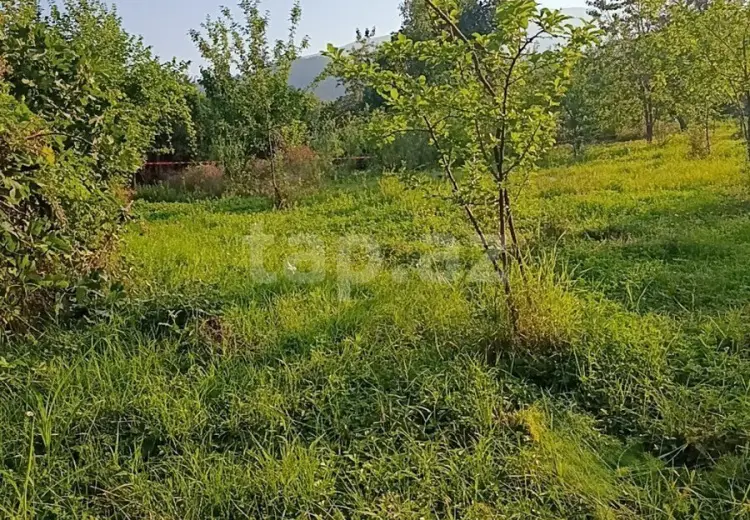 0 m² Obyekt / Ofis , İsmayıllı