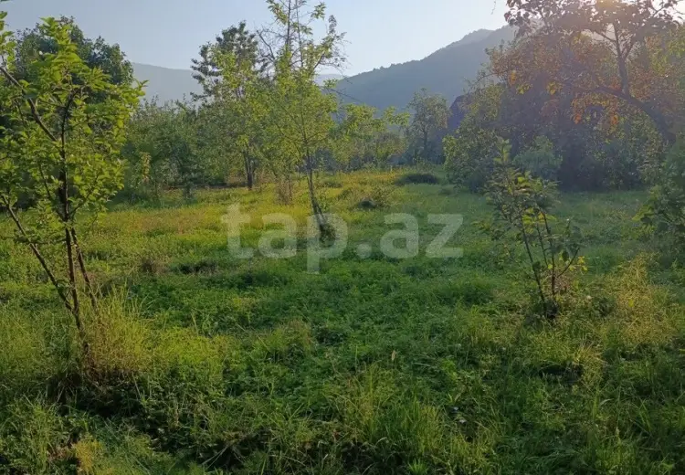 0 m² Obyekt / Ofis , İsmayıllı