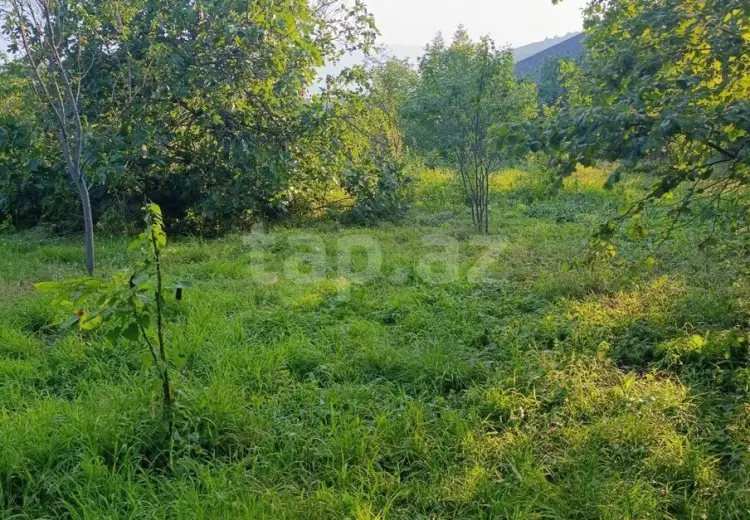 0 m² Obyekt / Ofis , İsmayıllı