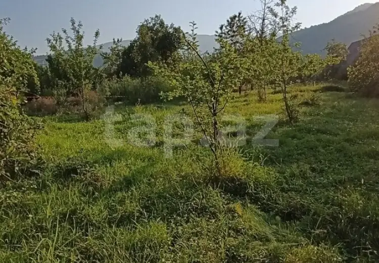 0 m² Obyekt / Ofis , İsmayıllı