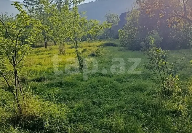 0 m² Obyekt / Ofis , İsmayıllı