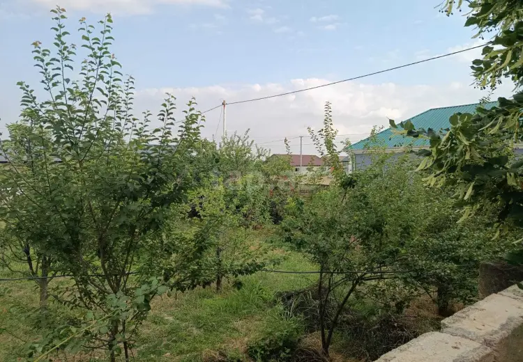 0 m² Obyekt / Ofis , Oğuz