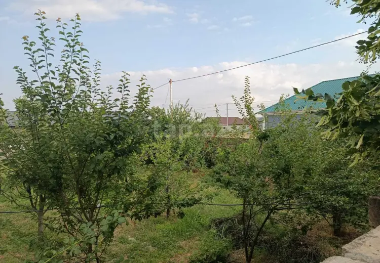 0 m² Obyekt / Ofis , Oğuz