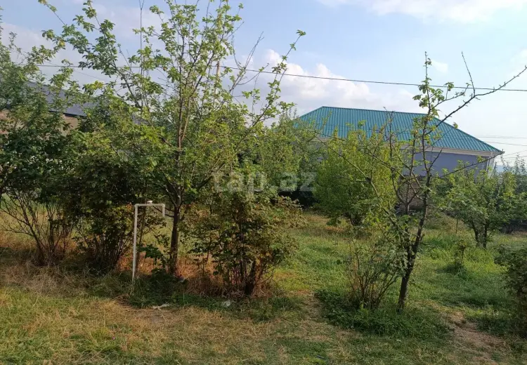 0 m² Obyekt / Ofis , Oğuz