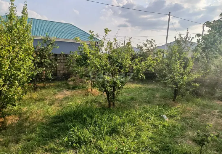 0 m² Obyekt / Ofis , Oğuz