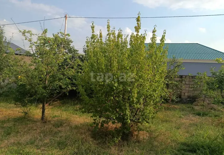 0 m² Obyekt / Ofis , Oğuz