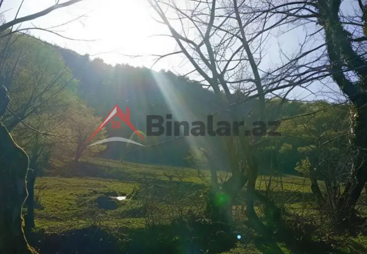 12 sot Torpaq Satılır, Qəbələ