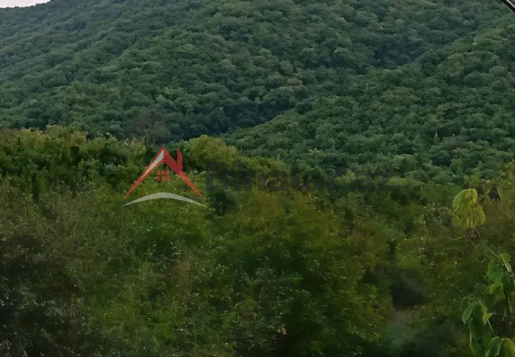 12 sot Torpaq Satılır, Qəbələ