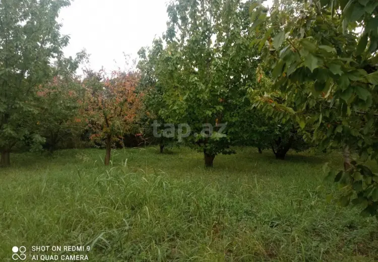0 m² Obyekt / Ofis , Quba