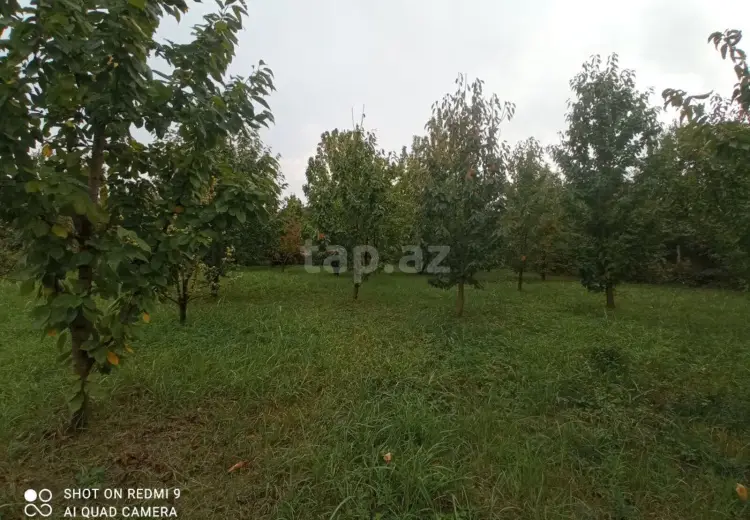 0 m² Obyekt / Ofis , Quba