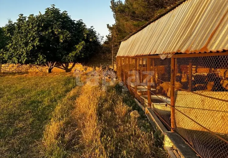 0 m² Obyekt / Ofis , Ramana qəs., Sabunçu, Bakı