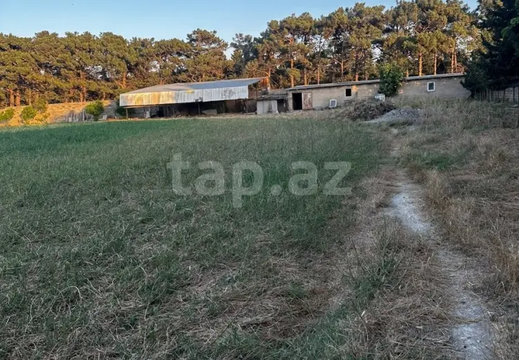0 m² Obyekt / Ofis , Ramana qəs., Sabunçu, Bakı