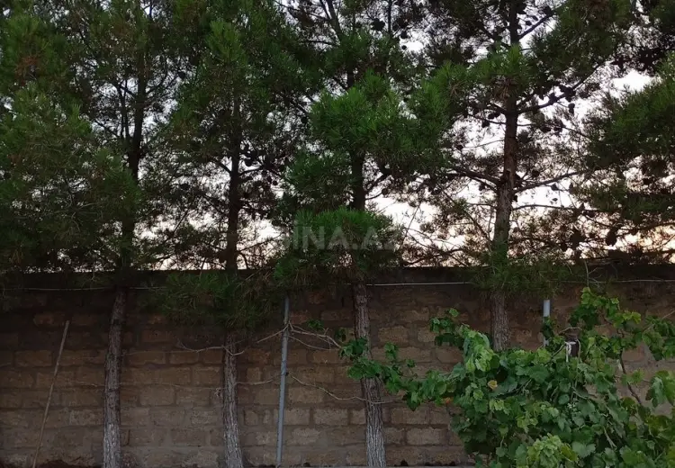 2 otaqlı mənzil Kirayə (aylıq), Sabunçu, Bakı