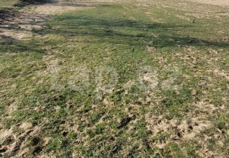 0 m² Obyekt / Ofis , Nardaran qəs., Sabunçu, Bakı
