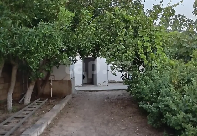 3 otaqlı mənzil Kirayə (aylıq), Albalı qəs., Sabunçu, Bakı