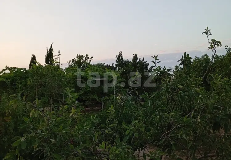 3 otaqlı mənzil Kirayə (aylıq), Albalı qəs., Sabunçu, Bakı