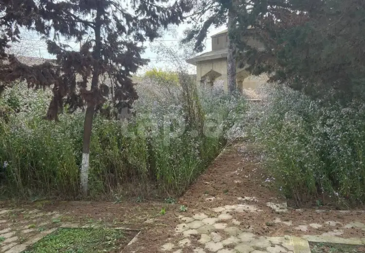 0 m² Obyekt / Ofis , Mərdəkan, Xəzər, Bakı